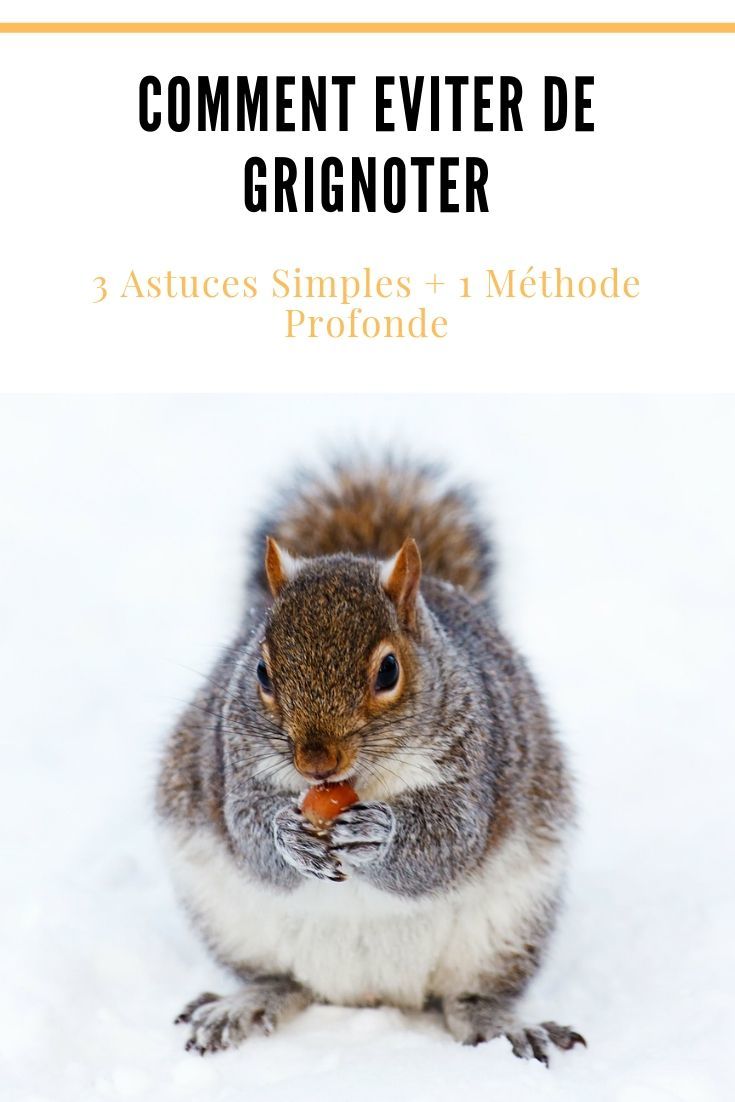 Comment Eviter De Grignoter : 3 Astuces Simples + 1 Méthode Profonde - Obir